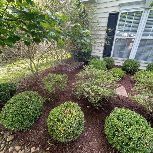 WhatsApp Image 2024-07-18 at 7.14.10 PM (13)