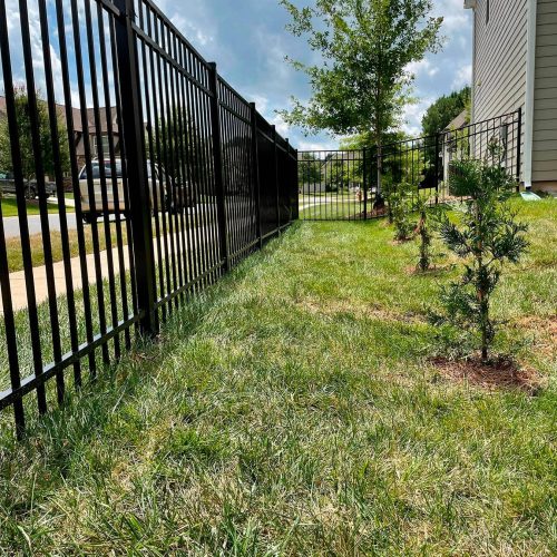 WhatsApp-Image-2024-08-04-at-11